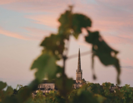 lafite wine tours bordeaux