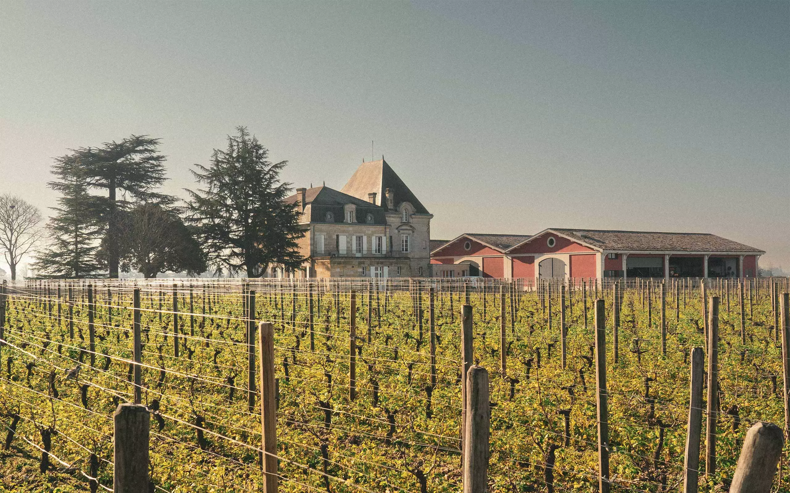 Château L'Evangile — estate