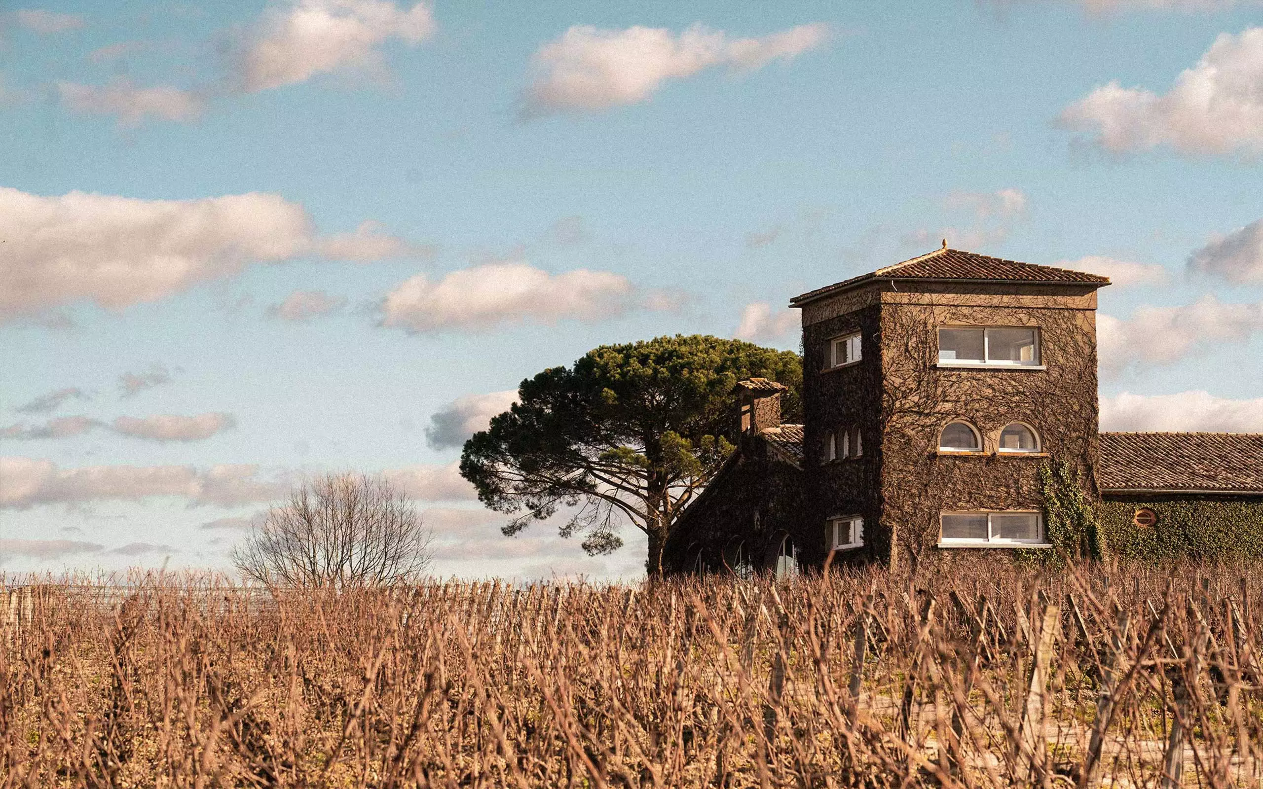 Chateau Rieussec — estate